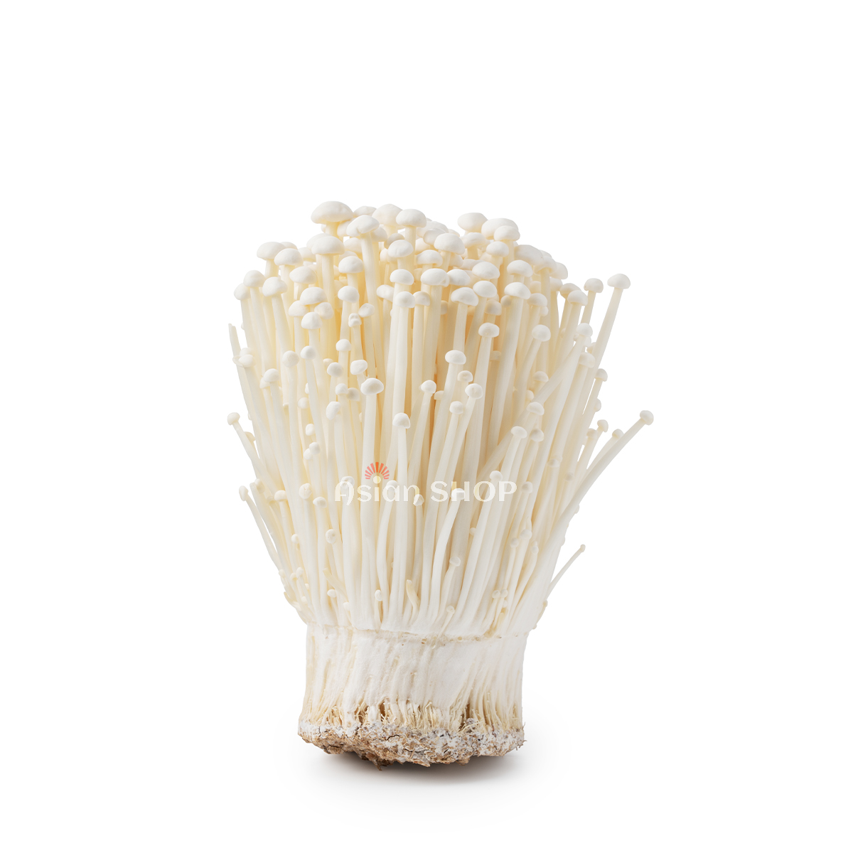 Enoki Golden 100g