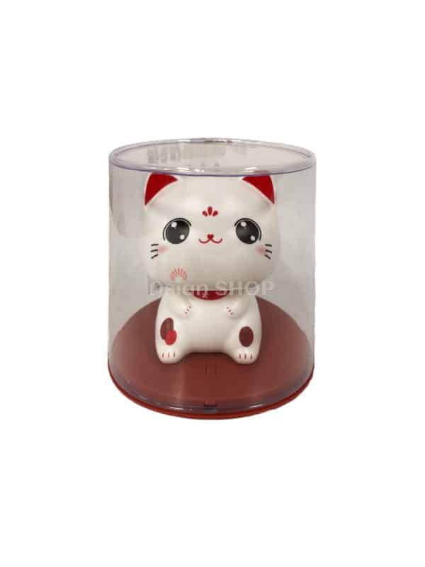 fengshui medium